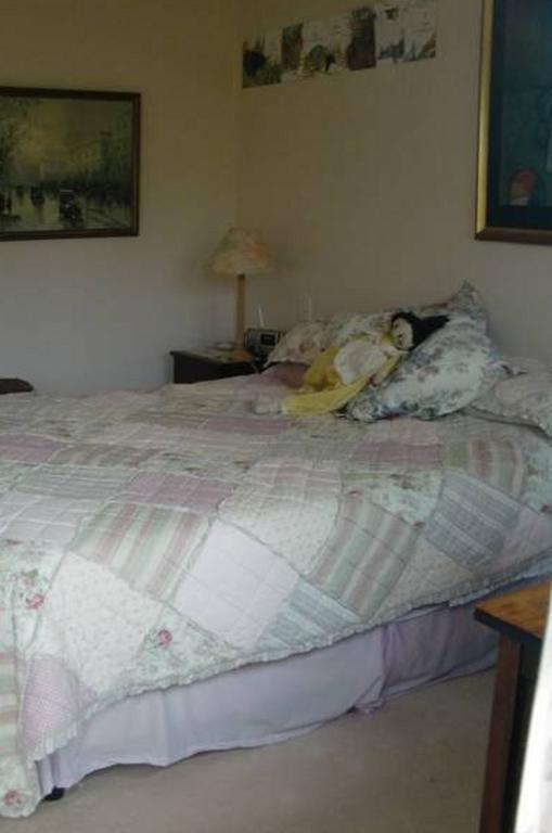 The Haven B & B Auckland Camera foto