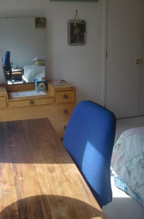The Haven B & B Auckland Camera foto